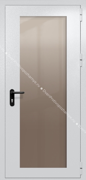 Однопольная дверь eiw-60 с максимальным стеклом (цвет светло-серый RAL 7047) Однопольная дверь eiw-60 с максимальным стеклом (цвет светло-серый RAL 7047)